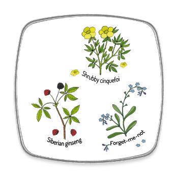 Herbes naturelles - Magnet carré - blanc - Devant