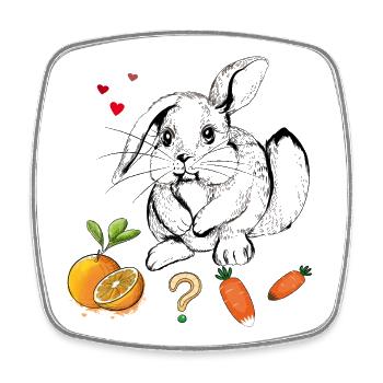 Lapin aux fruits et carottes - Magnet carré - blanc - Devant