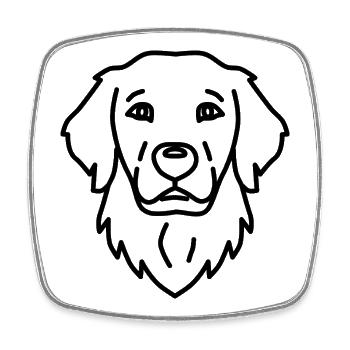 Kopf Golden Retriever - Viereckiger Kühlschrankmagnet - Weiß - Vorne