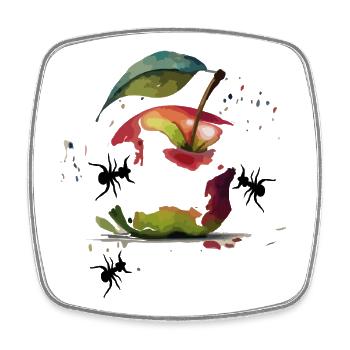  Apfel - Viereckiger Kühlschrankmagnet - Weiß - Vorne