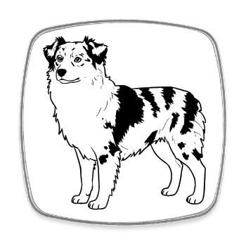 Australian Shepherd - Square fridge magnet - white - Front
