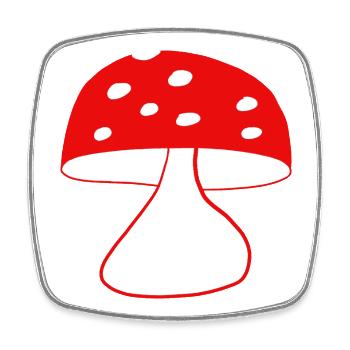 Red fly agaric mushrooms - Square fridge magnet - white - Front