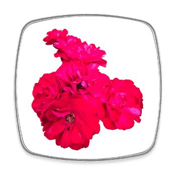 Roses - Square fridge magnet - white - Front