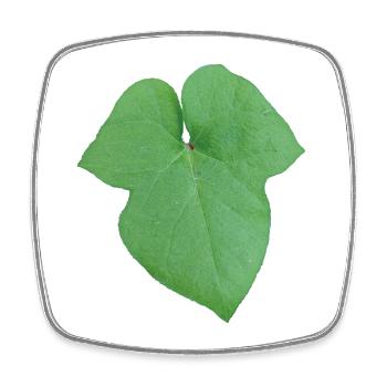 Green_Leaf_-_Tiny_Red_Spider - Magnet carré - blanc - Devant