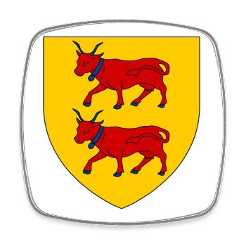 Wappen von Béarn - Viereckiger Kühlschrankmagnet - Weiß - Vorne