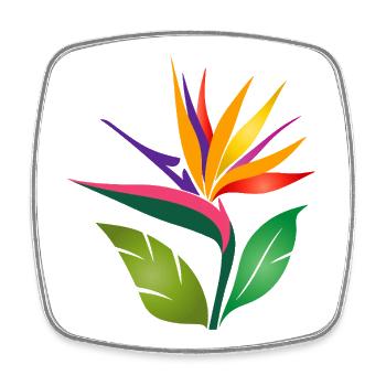 Fleur de l’oiseau de paradis | Fleurs tropicales colorées - Magnet carré - blanc - Devant