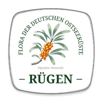 Flora der Ostsee – Sanddorn Skizze Rügen - Viereckiger Kühlschrankmagnet - Weiß - Vorne