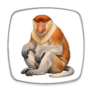 Singe trompide - Magnet carré - blanc - Devant