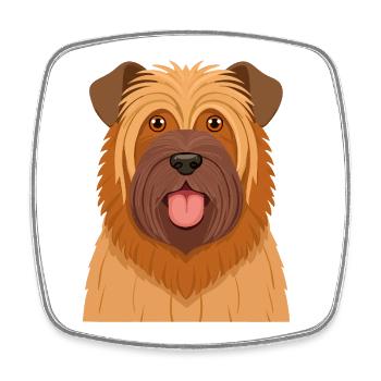 Zotteliger Briard (Comic-Porträt) - Viereckiger Kühlschrankmagnet - Weiß - Vorne