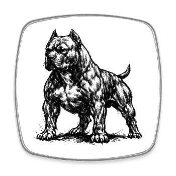 Muskulöser American Staffordshire Terrier - Viereckiger Kühlschrankmagnet - Weiß - Vorne