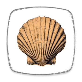 Sea Shell - Square fridge magnet - white - Front