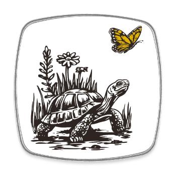 Turtle and butterfly - Square fridge magnet - white - Front