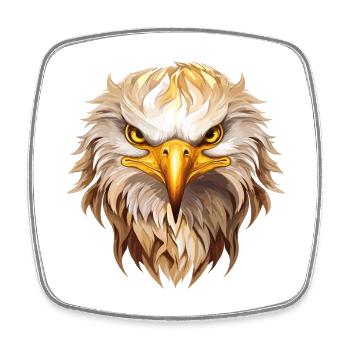 aigle, tête d’aigle, oiseau de proie, oiseau de proie, animal, nature - Magnet carré - blanc - Devant