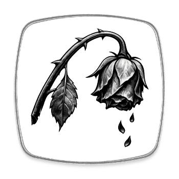 Withered rose in shadows - Square fridge magnet - white - Front