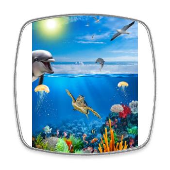 Reef Underwater - Square fridge magnet - white - Front