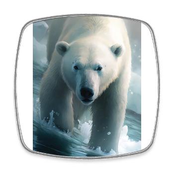 Polar bear - Square fridge magnet - white - Front