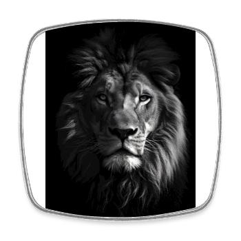 Lion Portrait - Square fridge magnet - white - Front