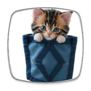 Chat dans un sac chaton mignon - Magnet carré - blanc - Devant