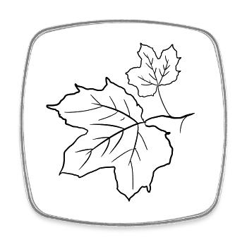 Maple Leaf / Maple Leaves, Decorative Drawing. - Square fridge magnet - white - Front
