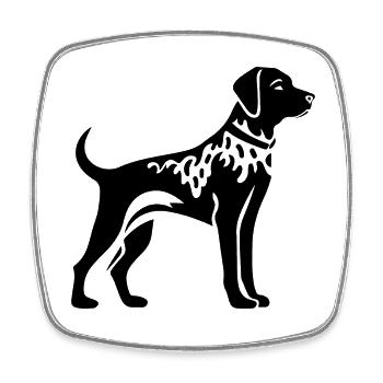 Dalmatian Dog - Square fridge magnet - white - Front