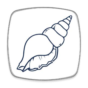 Seashell Minimal Ocean Beach Aesthetic Design - Viereckiger Kühlschrankmagnet - Weiß - Vorne