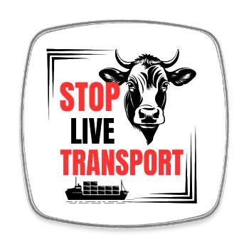 Animal transport Calves Cattle Cow Cows - Square fridge magnet - white - Front
