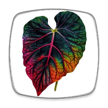 Feuille de caladium colorée fraîche - motif végétal - Magnet carré - blanc - Devant
