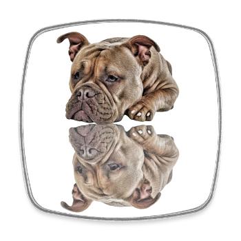 Bulldog Old English Bulldog Dog Dogs - Square fridge magnet - white - Front