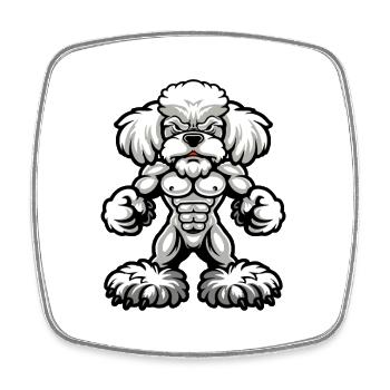 Poodle Dog Muscles Bodybuilding - Square fridge magnet - white - Front