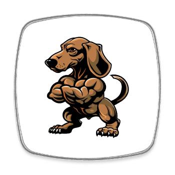 Dachshund Dog Muscles Bodybuilding Dachshund - Square fridge magnet - white - Front