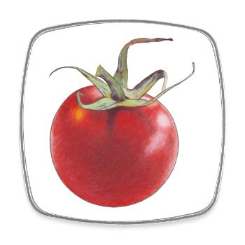 Tomate - Magnet carré - blanc - Devant