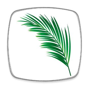 single green palm leaf - Square fridge magnet - white - Front