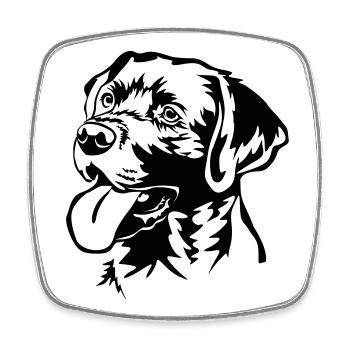 Labrador Retriever Head - Square fridge magnet - white - Front