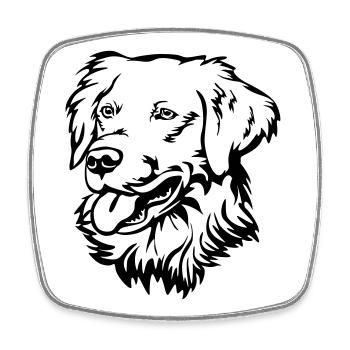 Golden Retriever Head - Square fridge magnet - white - Front