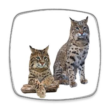Luchs - Viereckiger Kühlschrankmagnet - Weiß - Vorne
