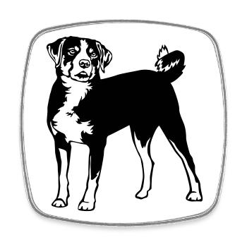 Appenzeller Sennenhund - Viereckiger Kühlschrankmagnet - Weiß - Vorne