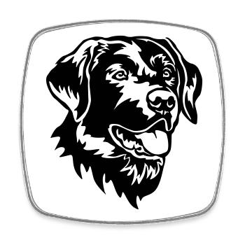 Labrador Head - Square fridge magnet - white - Front