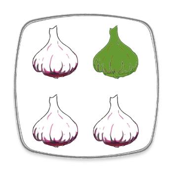 knoblauch 4er - Viereckiger Kühlschrankmagnet - Weiß - Vorne
