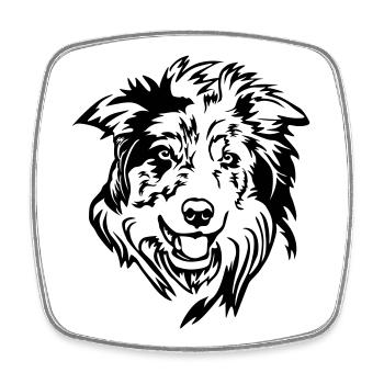 Tête de Border Collie - Magnet carré - blanc - Devant
