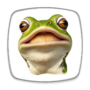 Smiling Frog - Square fridge magnet - white - Front