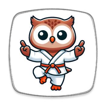 Owl Karate Japanese Martial Arts Martial Arts - Square fridge magnet - white - Front
