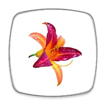 Tropical Daylily - Hemerocallis Bloom - Square fridge magnet - white - Front