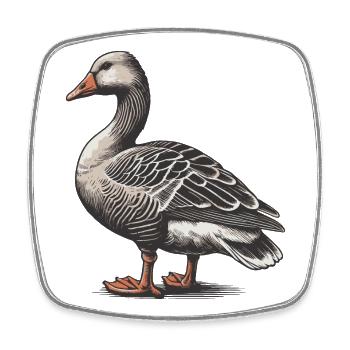 Gans - Viereckiger Kühlschrankmagnet - Weiß - Vorne