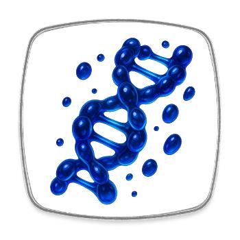 3D DNA Helix Molecule Blue - Square fridge magnet - white - Front
