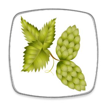 Houblon et feuille de houblon – motif de bière naturelle - Magnet carré - blanc - Devant