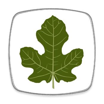 Feige Grünes Blatt Natur Design - Viereckiger Kühlschrankmagnet - Weiß - Vorne