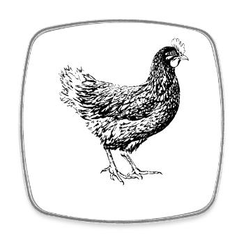 Chicken lover, Farming Family  - Square fridge magnet - white - Front