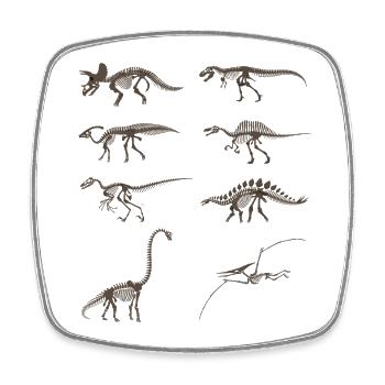 Vintage-Dinosaurierskelett - Viereckiger Kühlschrankmagnet - Weiß - Vorne