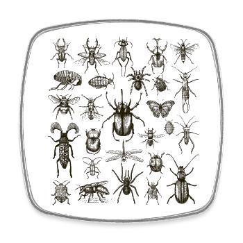 Insect Lover, Bug Enthusiast - Square fridge magnet - white - Front