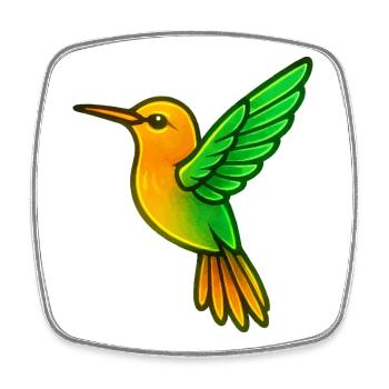 Hummingbird Bird - Square fridge magnet - white - Front
